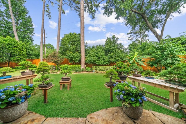 13803 Oak Fair Bnd, Cypress, TX 77429 - view of yard