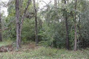 24483 Clark Rd, Montgomery, TX 77316 - photo 2