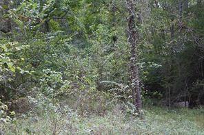 24483 Clark Rd, Montgomery, TX 77316 - photo 3