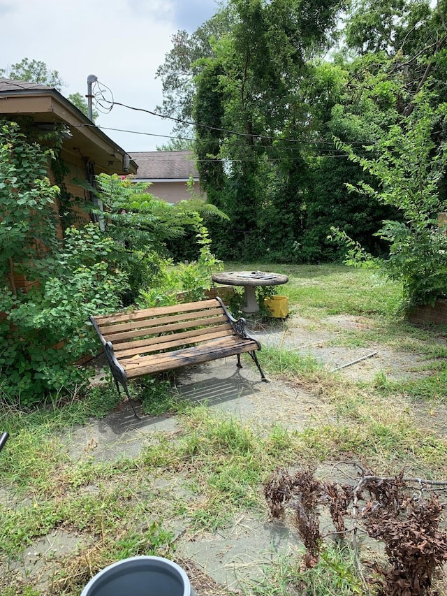 330 Spell St, Houston, TX 77022 - view of yard