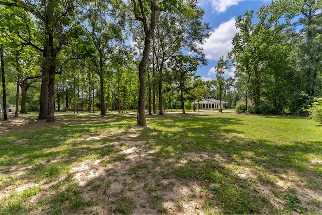 15086 Dewberry Ln, Conroe, TX 77302 - view of green lawn