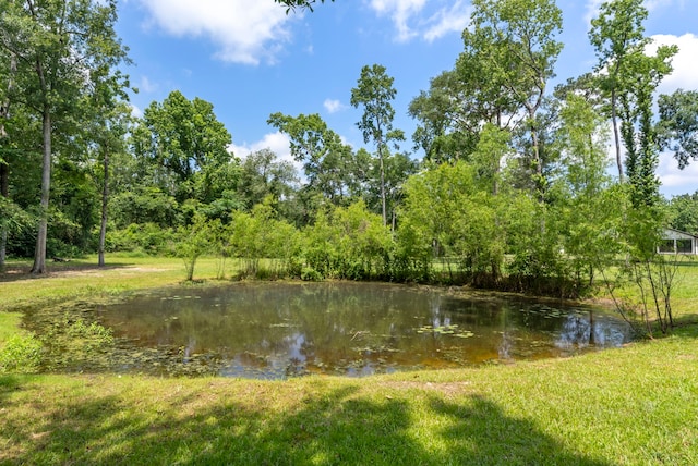 15086 Dewberry Ln, Conroe, TX 77302 - water view