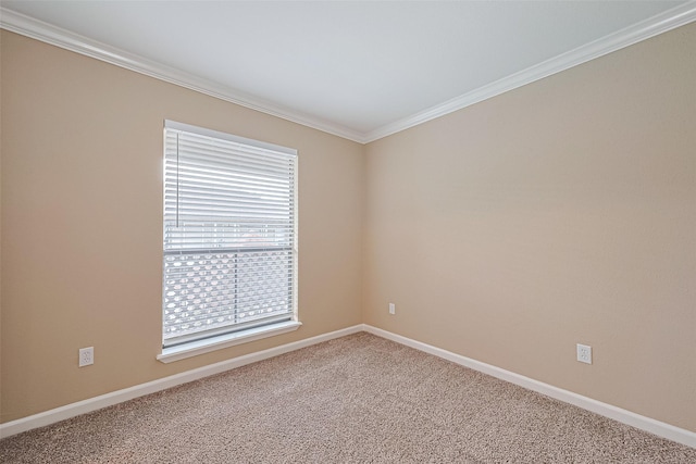 2110 Wilcrest Dr Unit 236, Houston, TX 77042 - spare room with ornamental molding, carpet, and baseboards