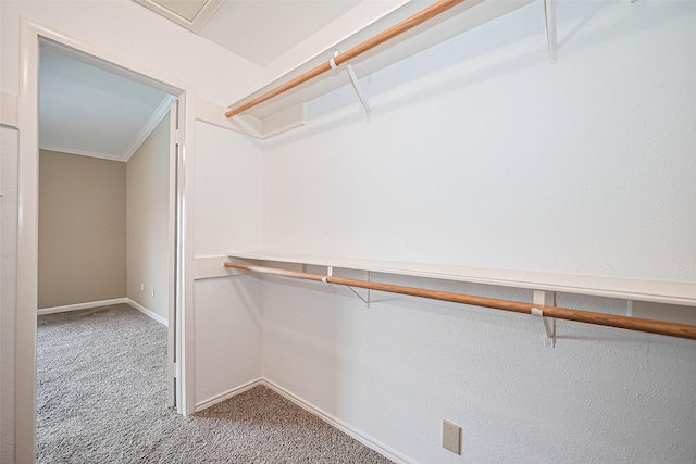 2110 Wilcrest Dr Unit 236, Houston, TX 77042 - walk in closet featuring carpet