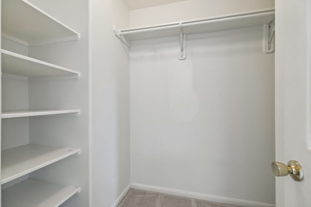 19710 Ringwald Ct, Spring, TX 77379 - walk in closet featuring carpet