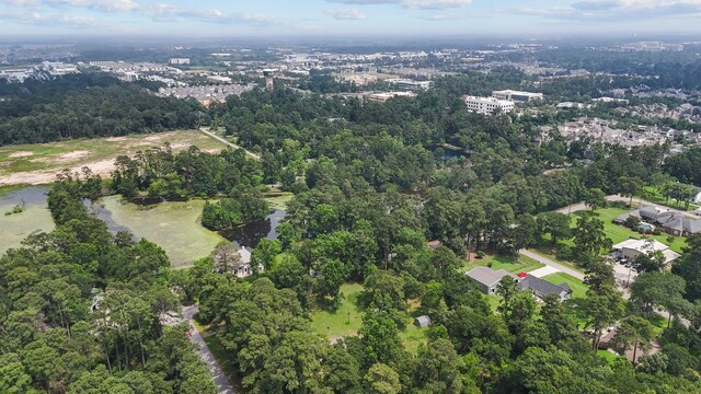 2395 Southline Rd, Conroe, TX 77384 - photo 22