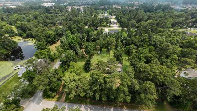 2395 Southline Rd, Conroe, TX 77384 - photo 23