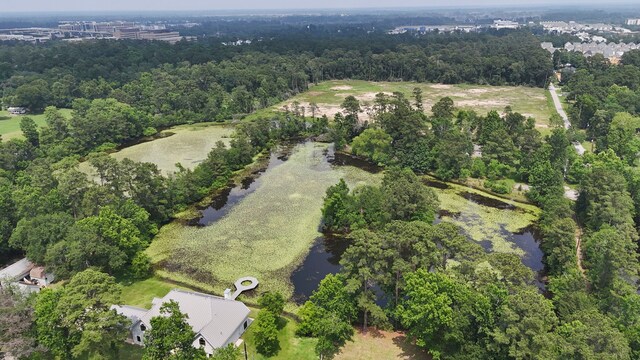 2395 Southline Rd, Conroe, TX 77384 - photo 24