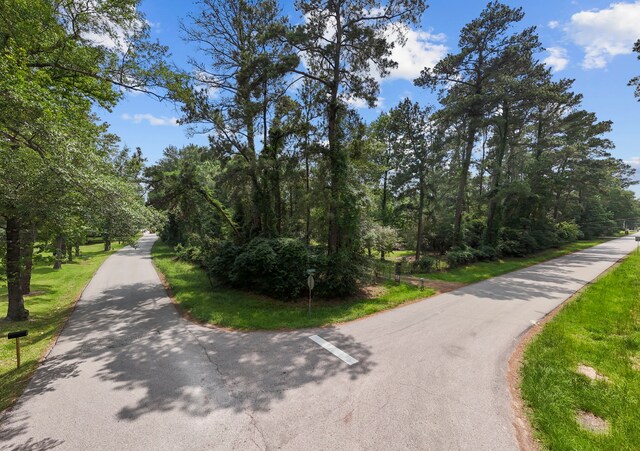2395 Southline Rd, Conroe, TX 77384 - photo 32