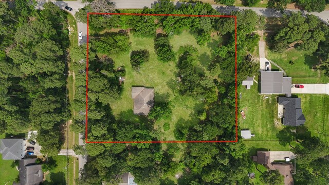 2395 Southline Rd, Conroe, TX 77384 - photo 5