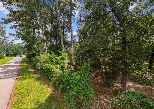 2395 Southline Rd, Conroe, TX 77384 - photo 34
