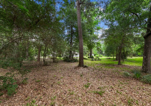 2395 Southline Rd, Conroe, TX 77384 - photo 35
