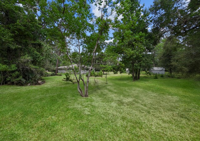 2395 Southline Rd, Conroe, TX 77384 - photo 36