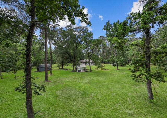 2395 Southline Rd, Conroe, TX 77384 - photo 39