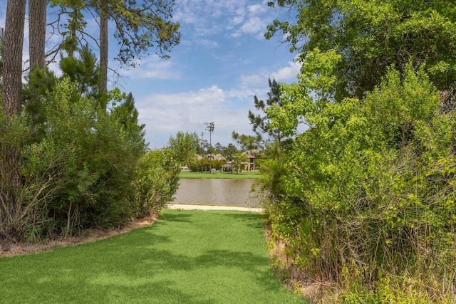 34132 Willow Bluff Ln, Pinehurst, TX 77362 - view of green lawn with a water view