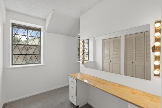 10320 Hammerly Blvd Unit 171, Houston, TX 77043 - unfurnished office featuring carpet, baseboards, and a textured ceiling