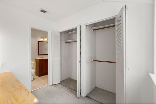 10320 Hammerly Blvd Unit 171, Houston, TX 77043 - view of closet