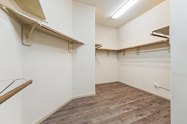 107 N Greenprint Cir, Tomball, TX 77375 - walk in closet featuring wood finished floors