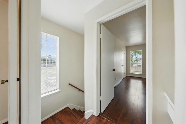 2626 Holly Hall St Unit 1102, Houston, TX 77054 - corridor with an upstairs landing, dark wood-style floors, and baseboards