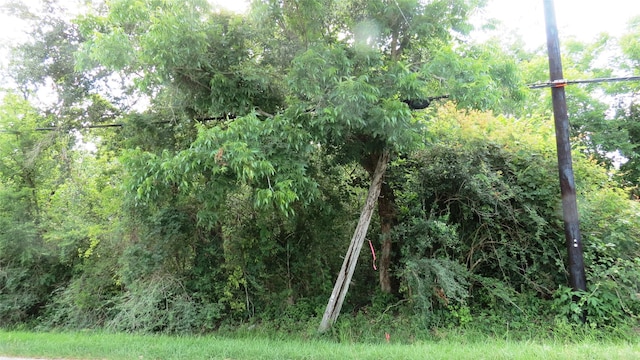 0 Birch St, Santa Fe, TX 77517