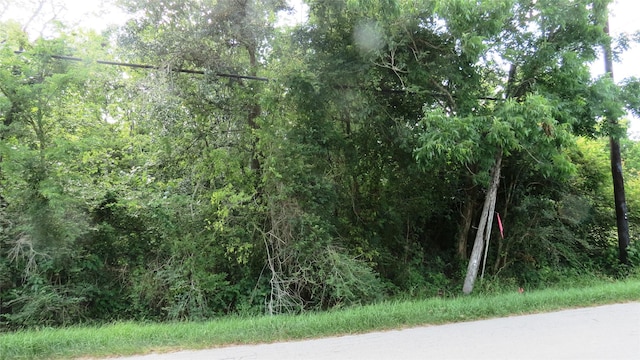 0 Birch St, Santa Fe, TX 77517