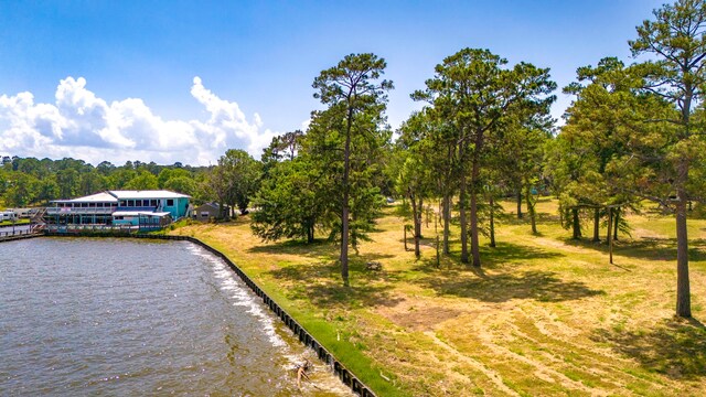 000 Shawnee Dr, Onalaska, TX 77360