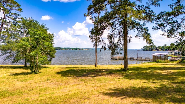 000 Shawnee Dr, Onalaska, TX 77360