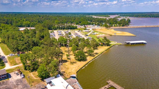 000 Shawnee Dr, Onalaska, TX 77360