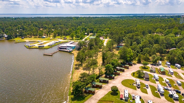 000 Shawnee Dr, Onalaska, TX 77360