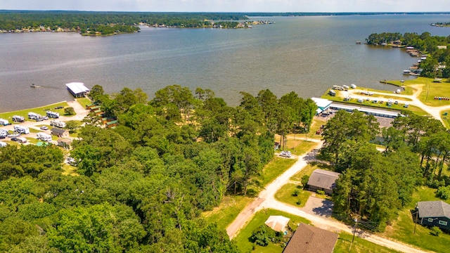 000 Shawnee Dr, Onalaska, TX 77360