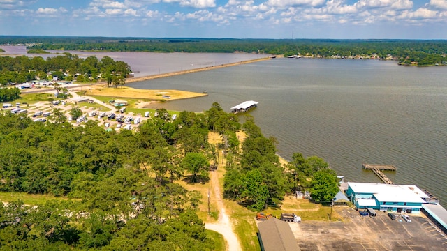000 Shawnee Dr, Onalaska, TX 77360