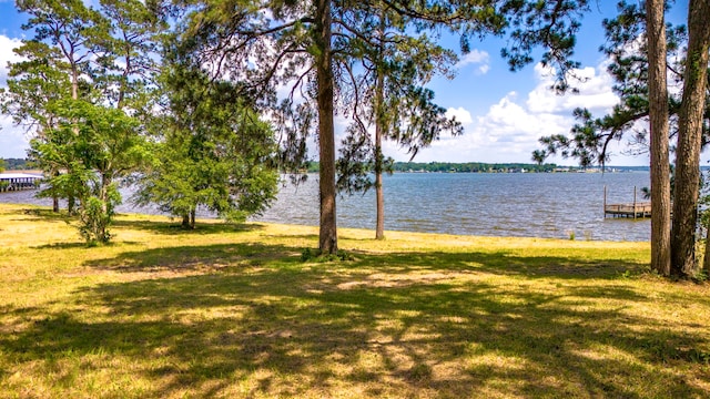 000 Shawnee Dr, Onalaska, TX 77360