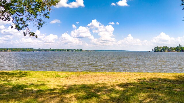 000 Shawnee Dr, Onalaska, TX 77360