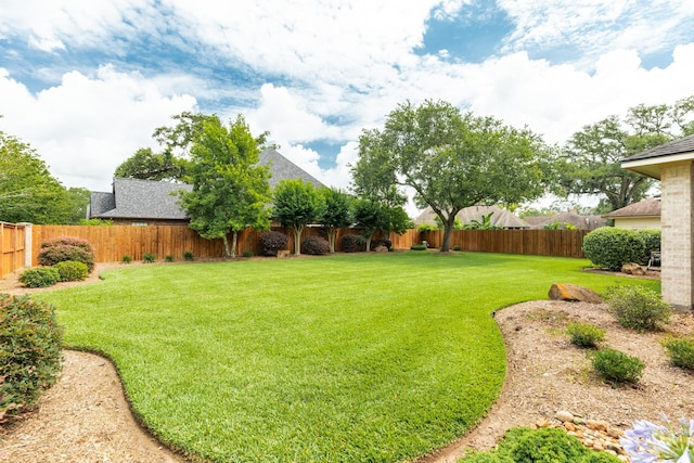 51 Northwood Ct, Lake Jackson, TX 77566 - view of yard