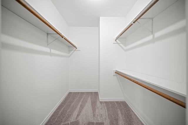 3500 Tangle Brush Dr Unit 48, The Woodlands, TX 77381 - spacious closet with carpet