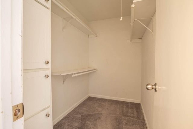 4064 Belle Park Dr Unit 4064, Houston, TX 77072 - spacious closet featuring carpet flooring
