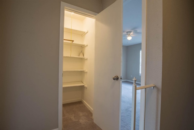 4064 Belle Park Dr Unit 4064, Houston, TX 77072 - corridor featuring carpet floors and baseboards