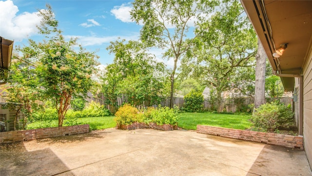 10902 Brentway Dr, Houston, TX 77070 - fenced backyard with a patio area