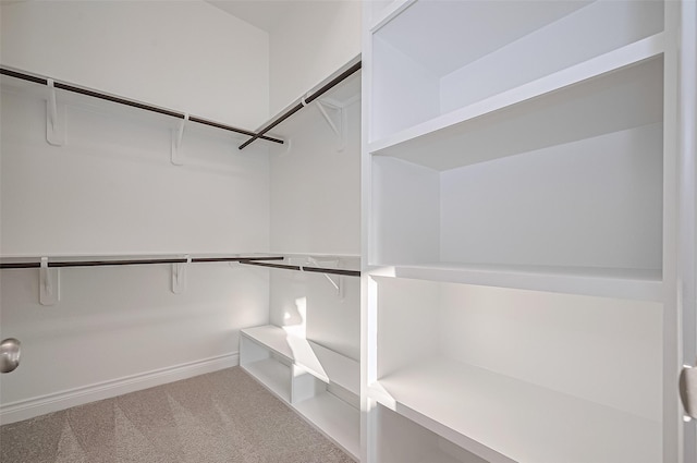 17414 Orchid Falls Ln, Conroe, TX 77302 - walk in closet featuring carpet