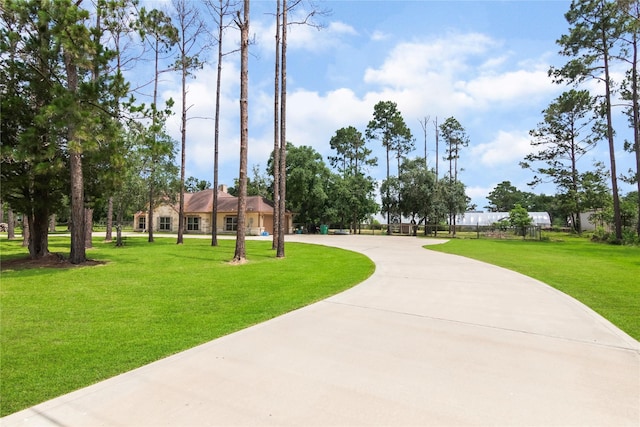8410 County Road 466, Liverpool, TX 77577 - photo 4