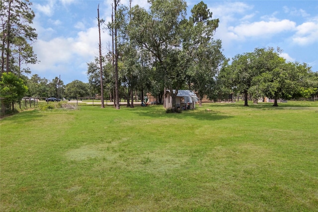 8410 County Road 466, Liverpool, TX 77577 - photo 32