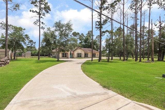 8410 County Road 466, Liverpool, TX 77577 - photo 3