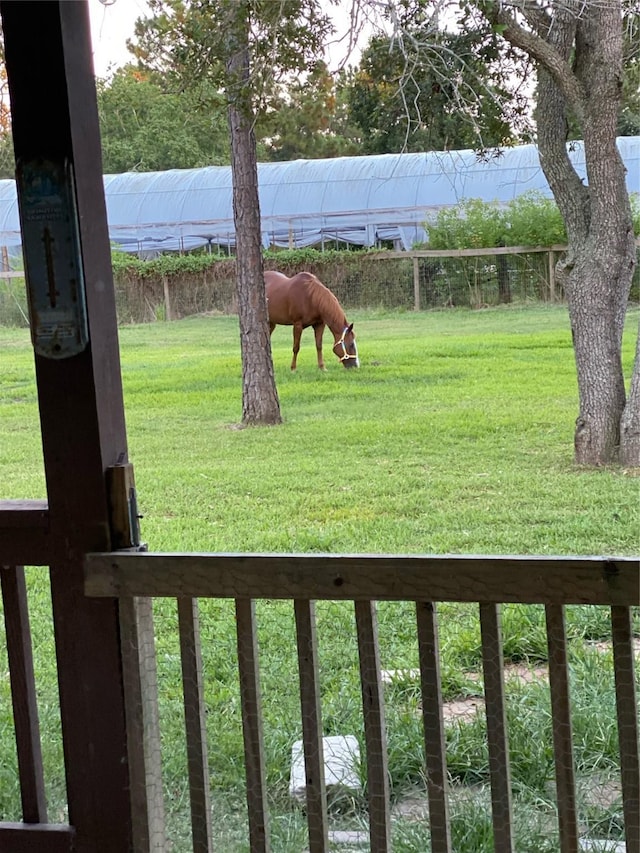 8410 County Road 466, Liverpool, TX 77577 - photo 6