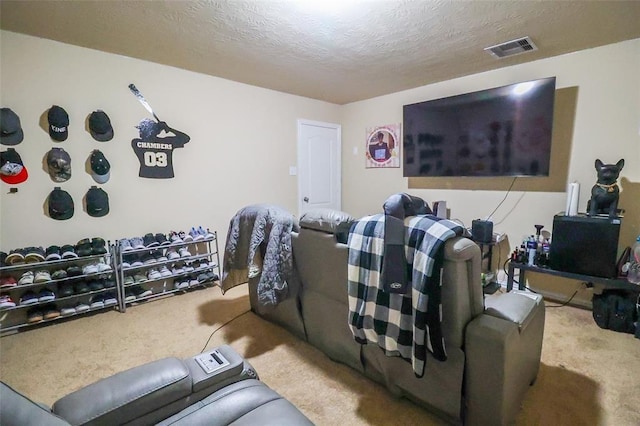 9911 Clear Diamond Dr, Rosharon, TX 77583 - cinema with carpet and a textured ceiling
