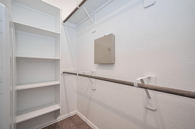 20231 Creekdale Bend Dr, Cypress, TX 77433 - spacious closet featuring carpet and pet washing area