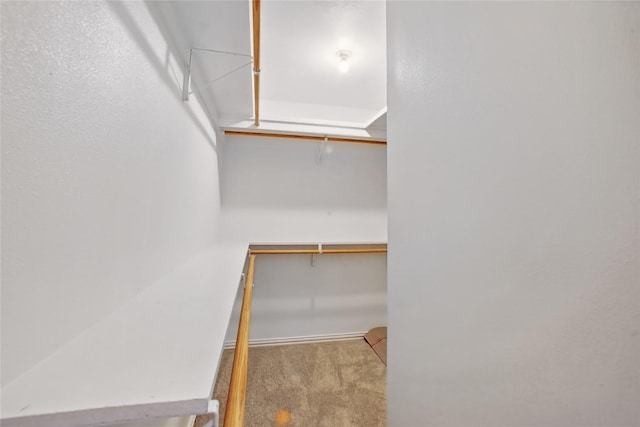 1118 Hammock St, Houston, TX 77009 - spacious closet with carpet floors