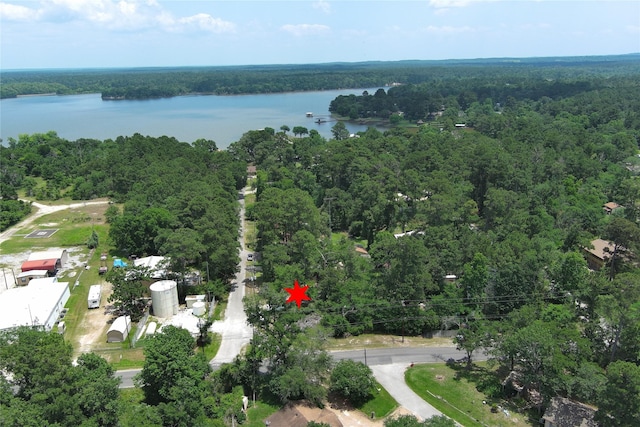 6 Hickory Holw, Huntsville, TX 77320 - aerial view of property and surrounding area with a forest and a nearby body of water