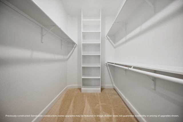 1816 Colquitt St, Houston, TX 77098 - spacious closet featuring carpet