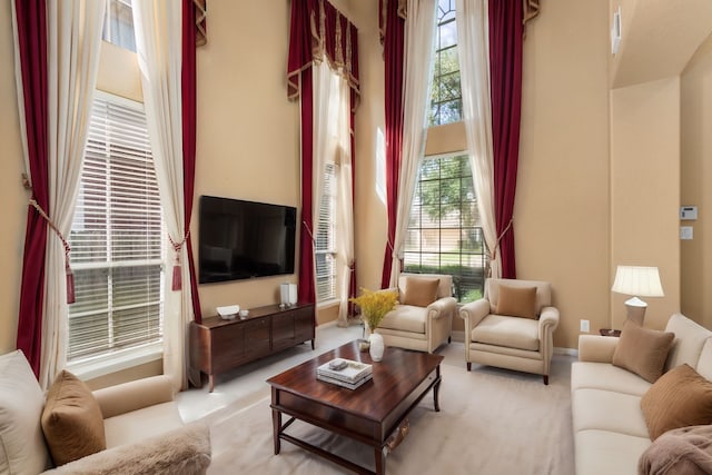 3915 Garnet Fls, Sugar Land, TX 77479 - carpeted living area with baseboards and a high ceiling