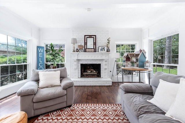 9911 Oxted Ln, Spring, TX 77379 - living room featuring crown molding, dark wood-type flooring, healthy amount of natural light, and a fireplace
